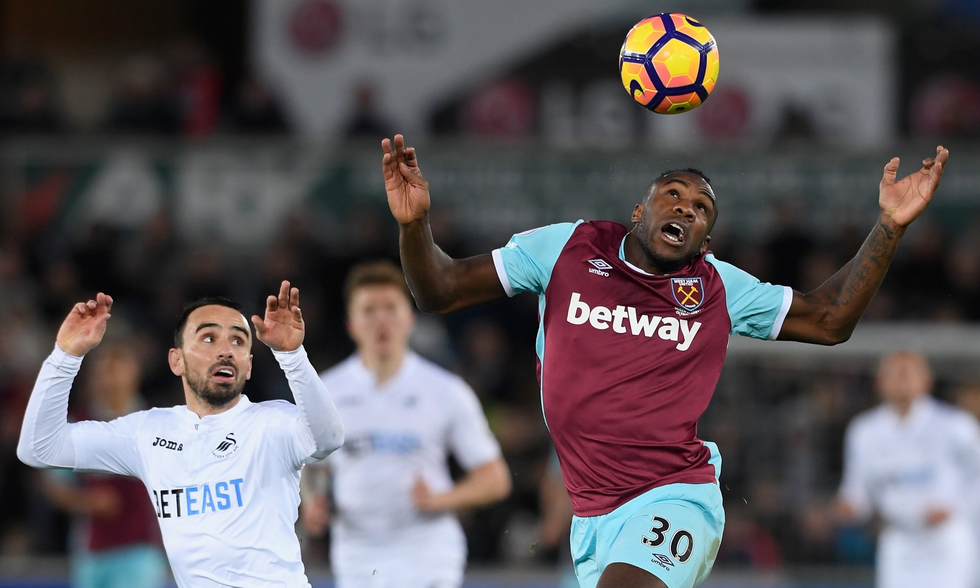 对他信任的 对他信任的