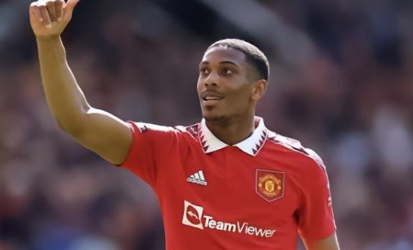 迷们陷入了 迷们陷入了